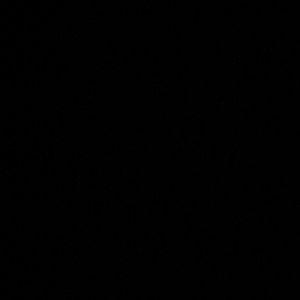 Meet your Posher, Lindsay